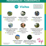 visitas