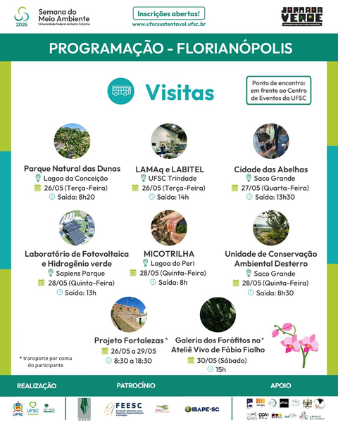 visitas