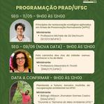 2_Novo