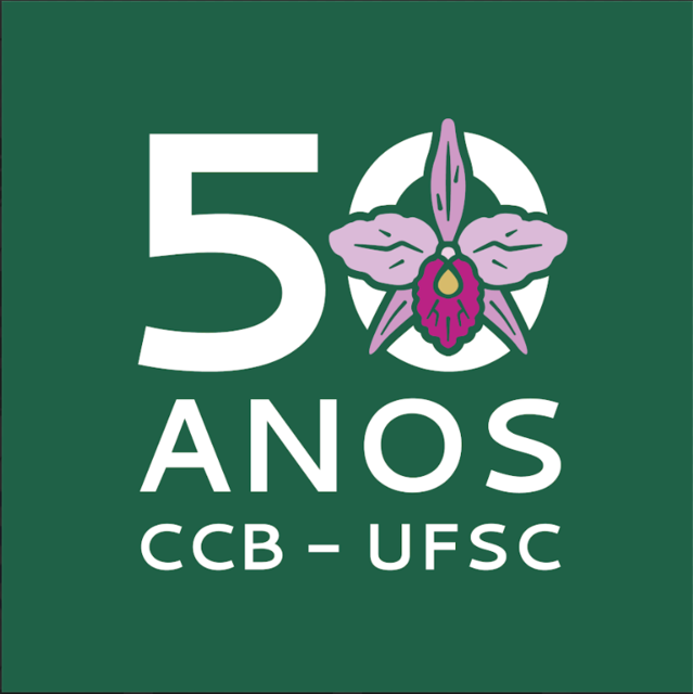 Id-visual-ccb-42