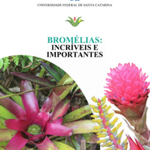 bromelias