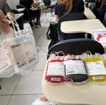 projeto-hemosc