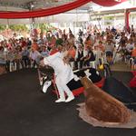 20ACOR_fotoJOI_(902)[1]