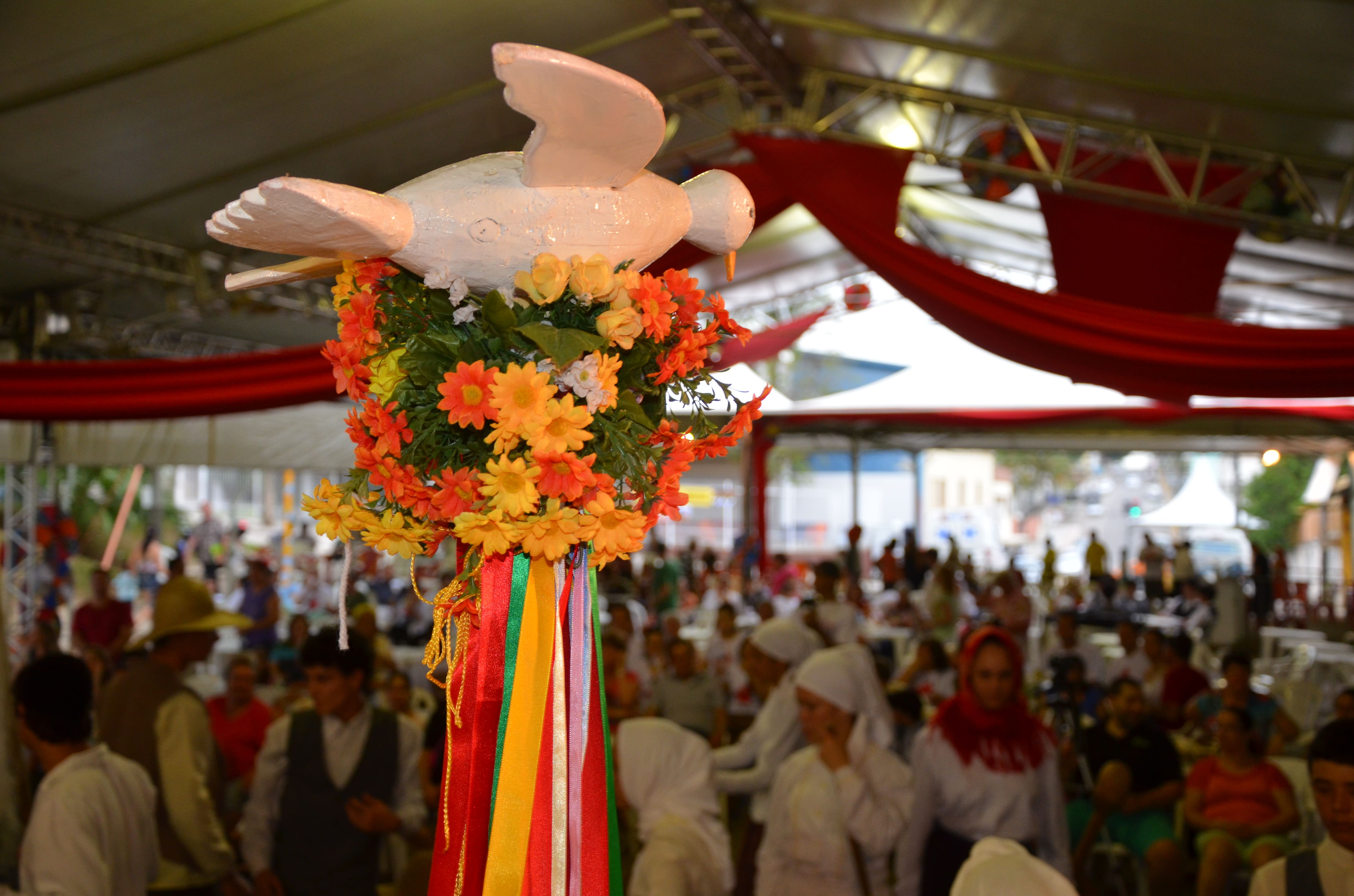 20ACOR_fotoJOI_(971)[1]