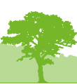 ufscsustentavel.site_21