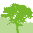 ufscsustentavel.site_21