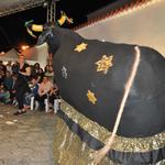 21acor_chico_(670)[1]