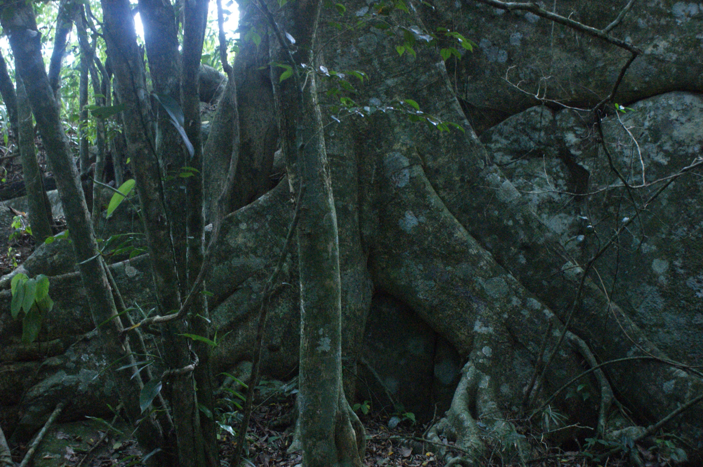 DSC03473 (1)