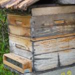 20120117 Fazenda apicultura coletor pólen.jpg