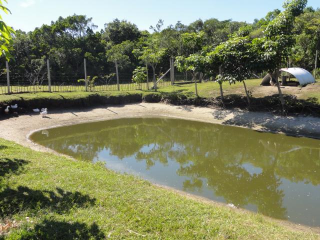 20120403 Fazenda Açude seco drenagem estiagem seca Marrecos 002.jpg