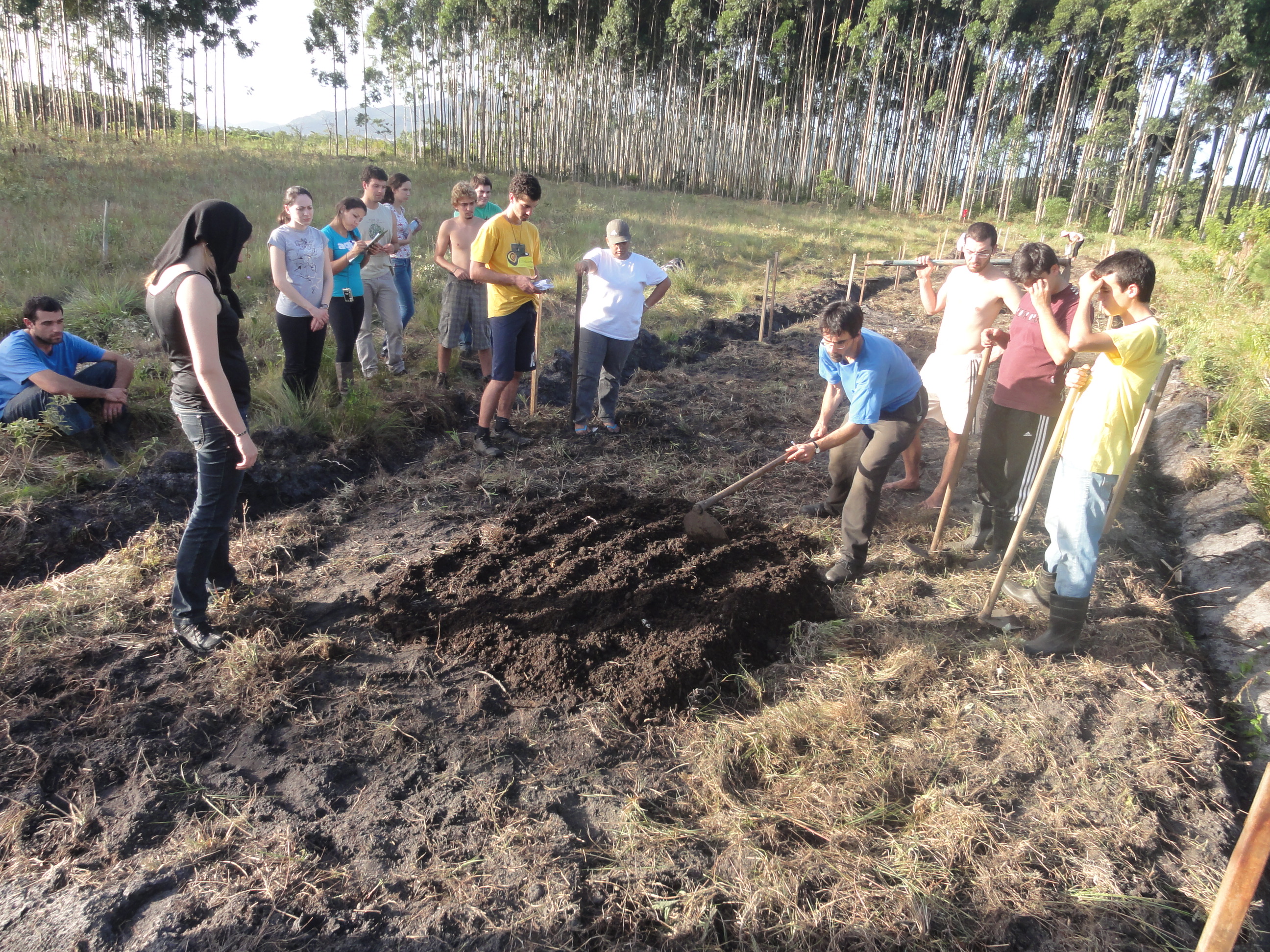 20120504 Fazenda Aula Agroecologia experimento 024.jpg