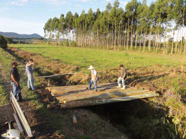 20120529 Fazenda construção pontilhão bovinos ingazeiros 009.jpg