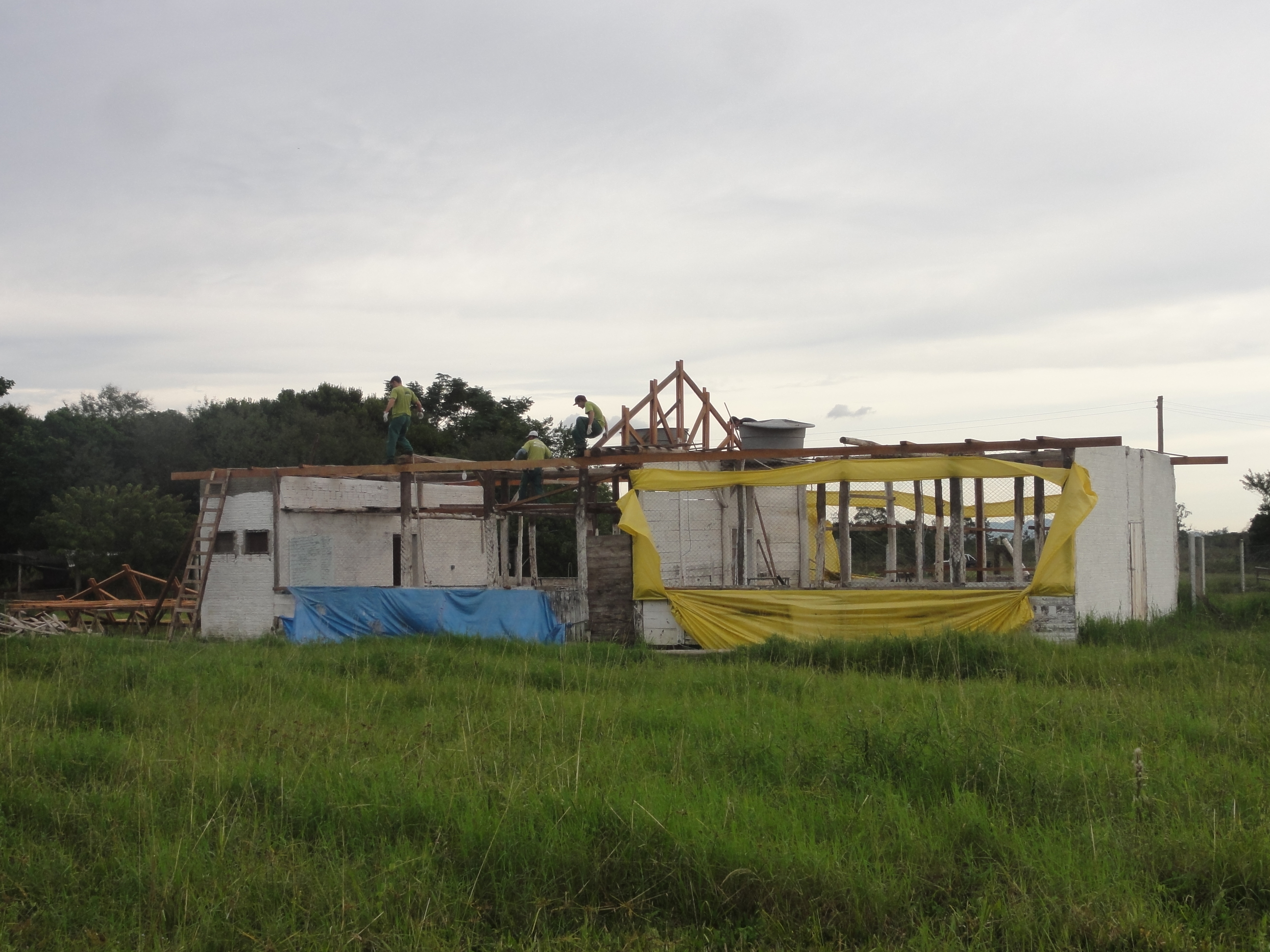 20120530 Fazenda Reforma telhado aviário estrutura obras.jpg