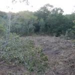 20120809 Fazenda Mata Floresta Área Pivô 002.jpg