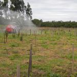 20120827 Fazenda irrigação bracatingas silvicultura 001.jpg