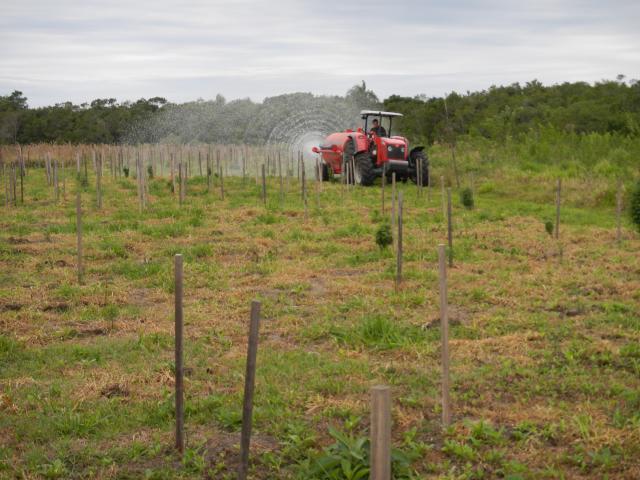 20120827 Fazenda irrigação bracatingas silvicultura 002.jpg