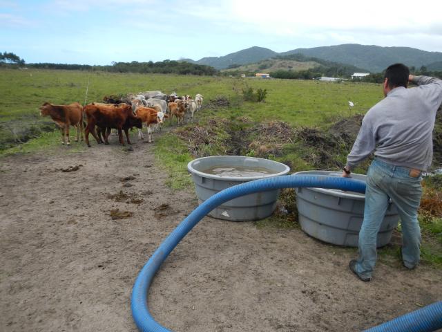 20120928 Fazenda Bovinocultura abastecimento água dessedentação 001.jpg