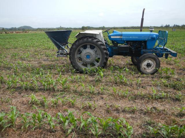 20121002 Fazenda Adubação com uréia no milho lavoura 001.jpg