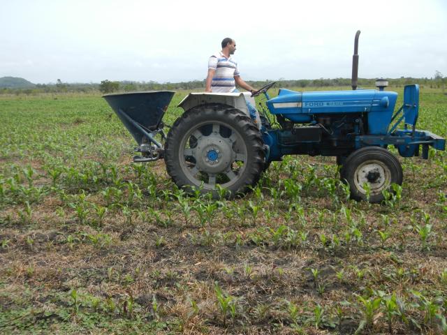 20121002 Fazenda Adubação com uréia no milho lavoura 002.jpg
