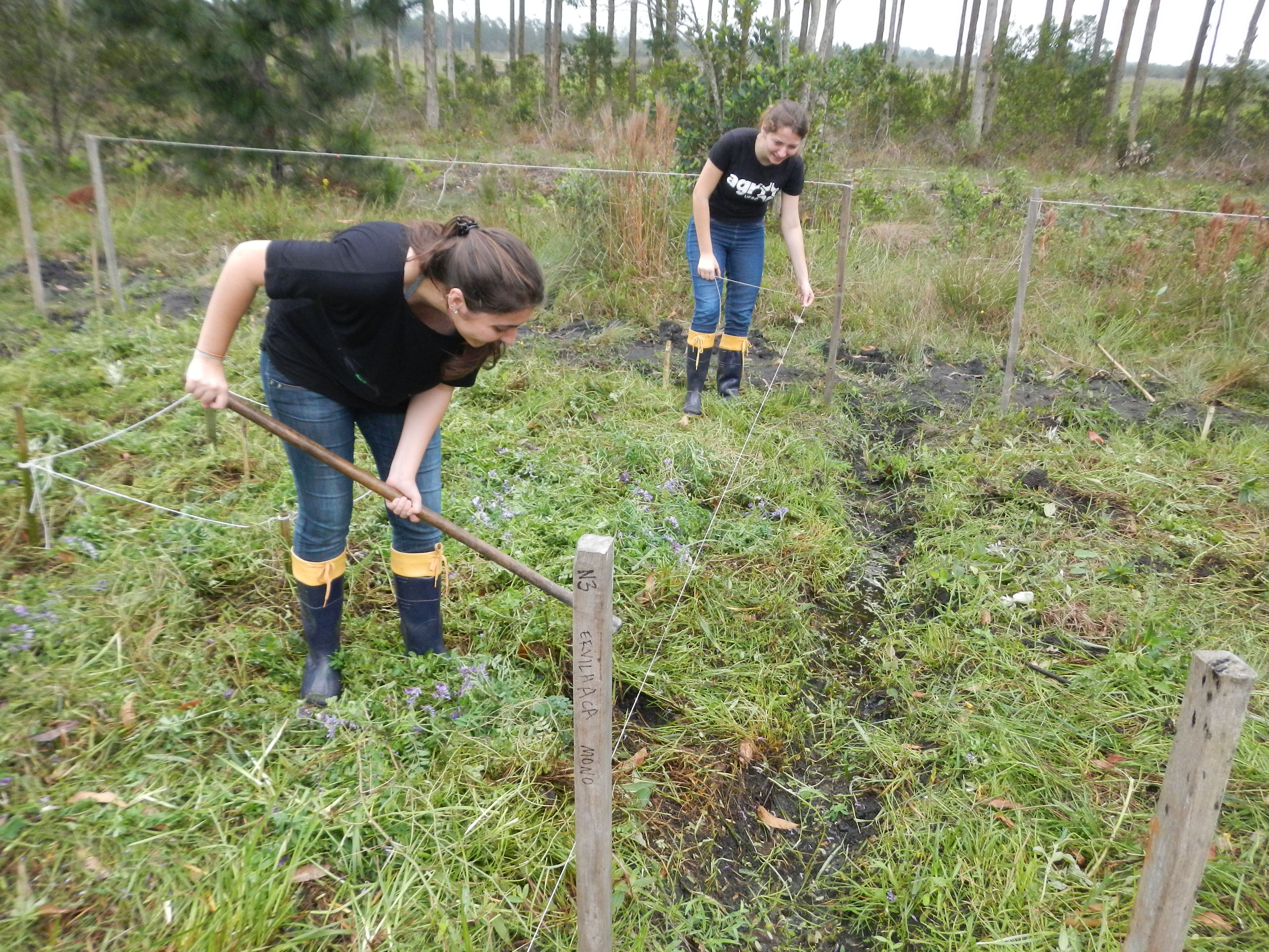 20121005 Fazenda Aula Agroecologia plantio de verão 028.jpg