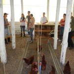 20121015 Fazenda Avicultura Aula Animais Agroecológicos Zootecni 001.jpg