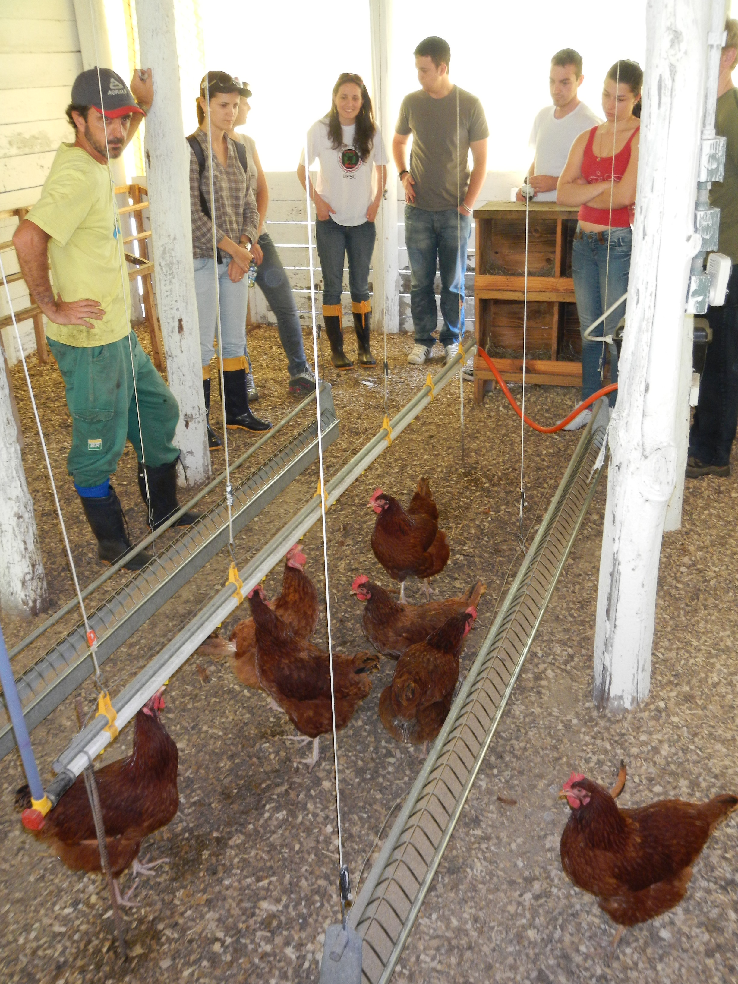 20121015 Fazenda Avicultura Aula Animais Agroecológicos Zootecni 003.jpg