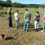 20121015 Fazenda Avicultura Aula Animais Agroecológicos Zootecni 004.jpg