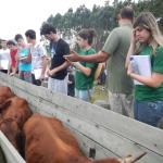 20121022 Fazenda Aula Introdução à Agronomia bovinocultura gado 002.jpg