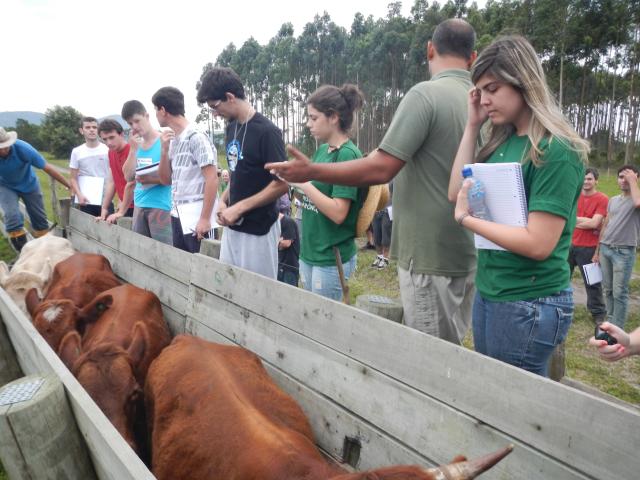 20121022 Fazenda Aula Introdução à Agronomia bovinocultura gado 002.jpg