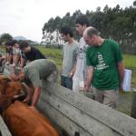 20121022 Fazenda Aula Introdução à Agronomia bovinocultura gado 007.jpg