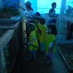 20121017 Fazenda Visita guiada NDI crianças 018.jpg