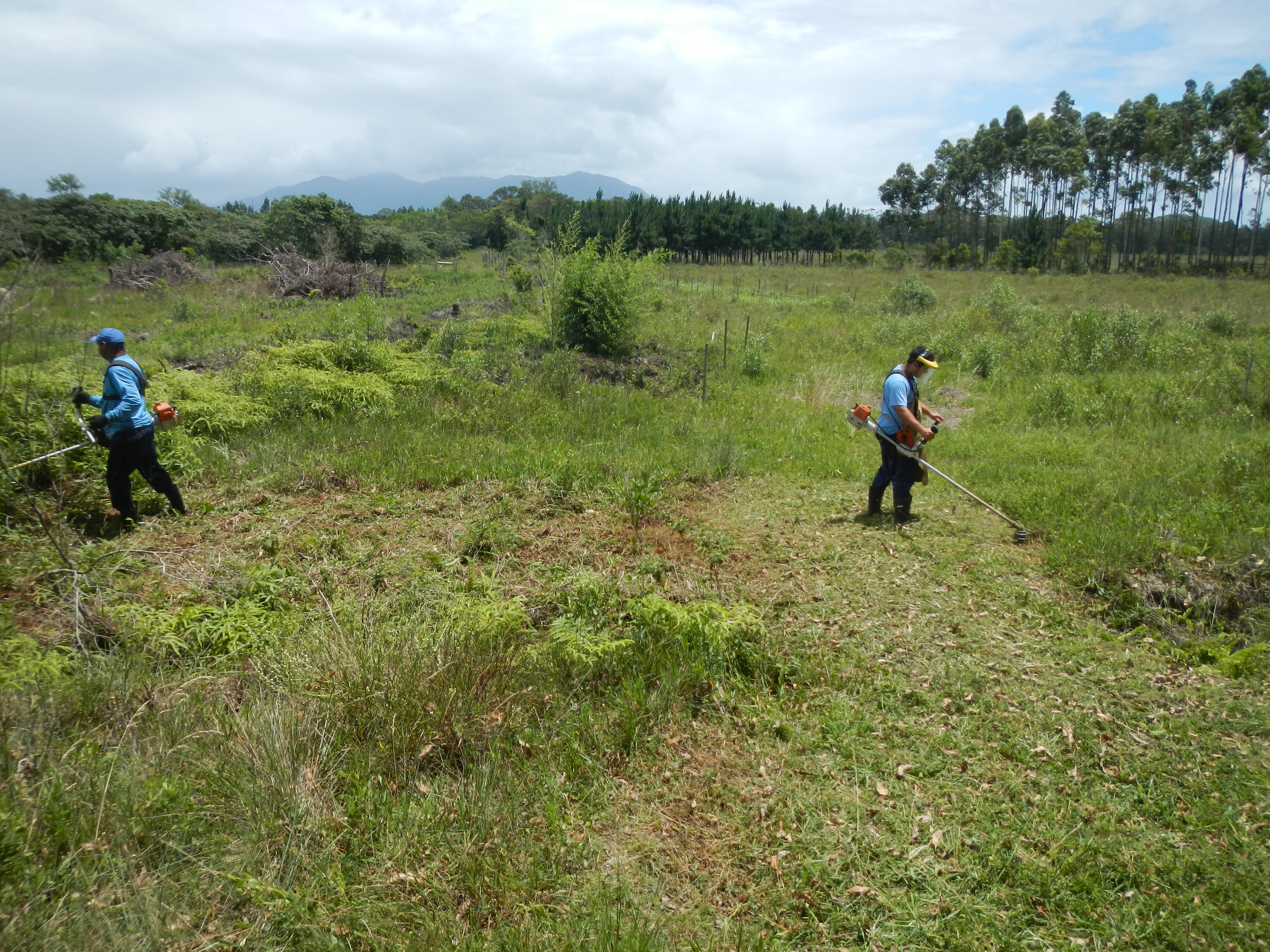 20121116 Fazenda Roçagem área agroecologia.jpg