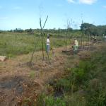20121126 Fazenda Agroecologia instalação experimento SAF ADAE 011.jpg