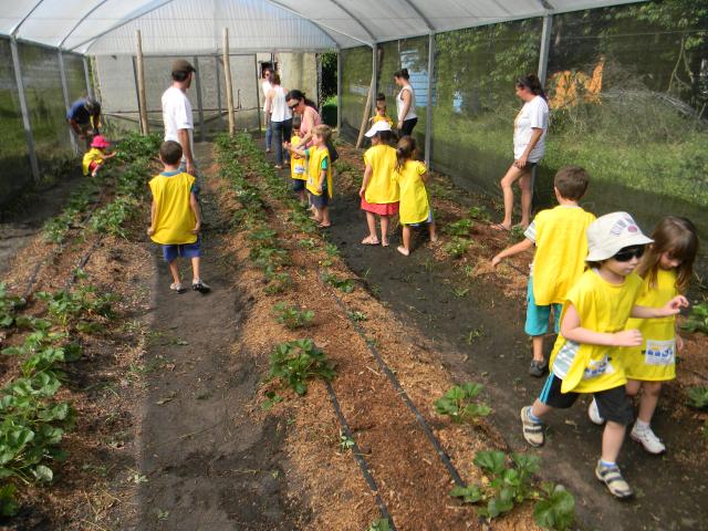 20121128 Fazenda Visita NDI crianças 035.jpg