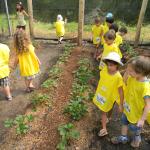 20121128 Fazenda Visita NDI crianças 036.jpg