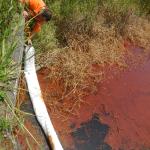 20121221 Fazenda Vazamento óleo Subestação Celesc CeFA 013.jpg