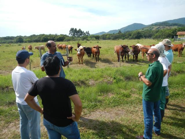 20130225 Fazenda Gado Bovinocultura Reunião planejamento 003.jpg