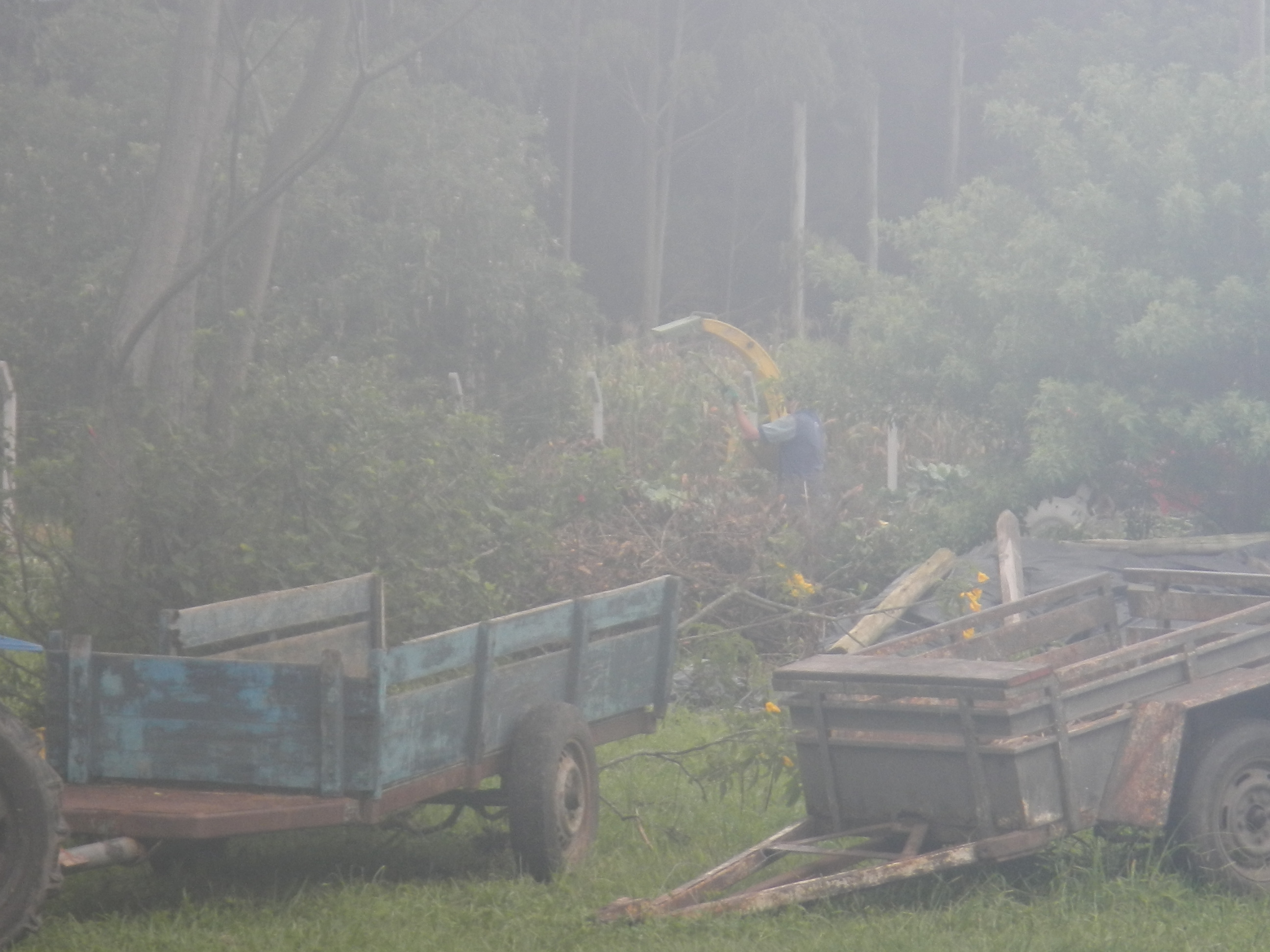 20130306 Fazenda Ruídos Picagem Galhos 011.jpg