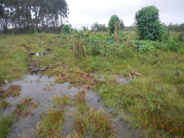 20130410 Fazenda Chuvarada 95mm águas drenagem SAF Agroecologia 003.jpg