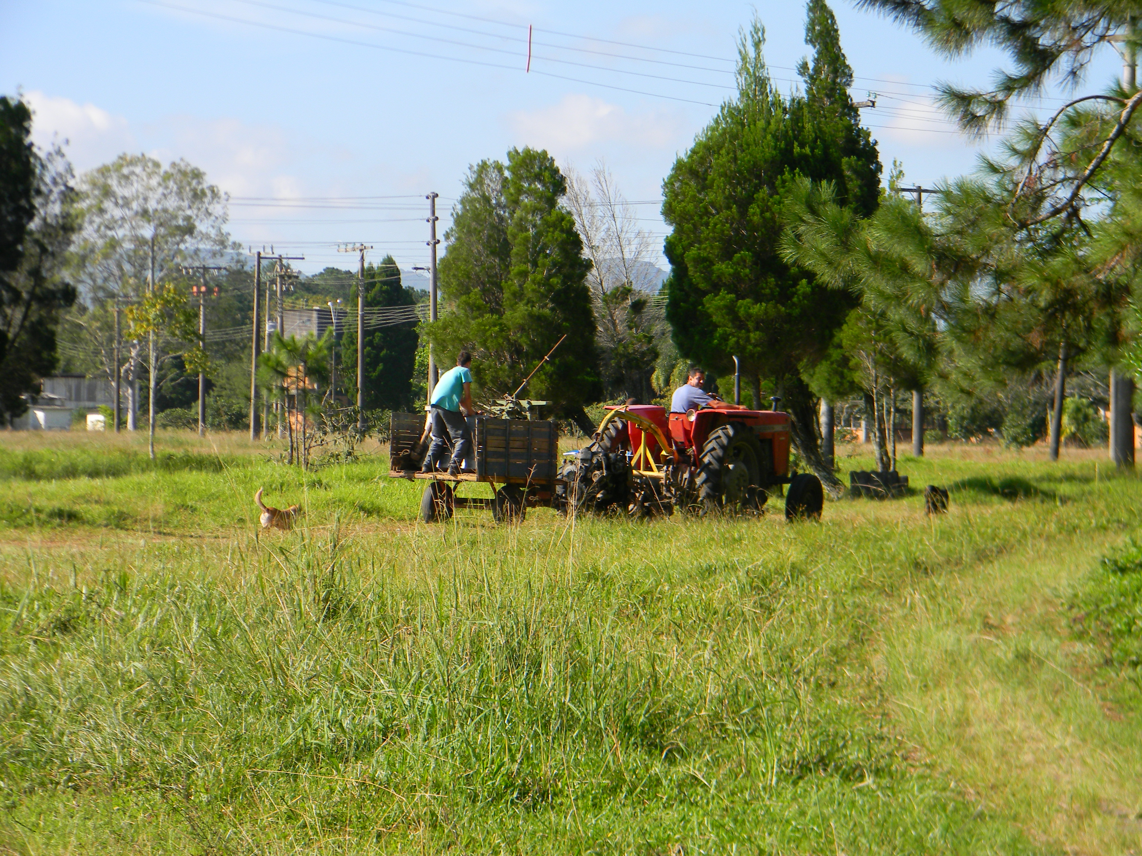 20130419 Fazenda Transporte Máquinas e Equipamentos 026.jpg
