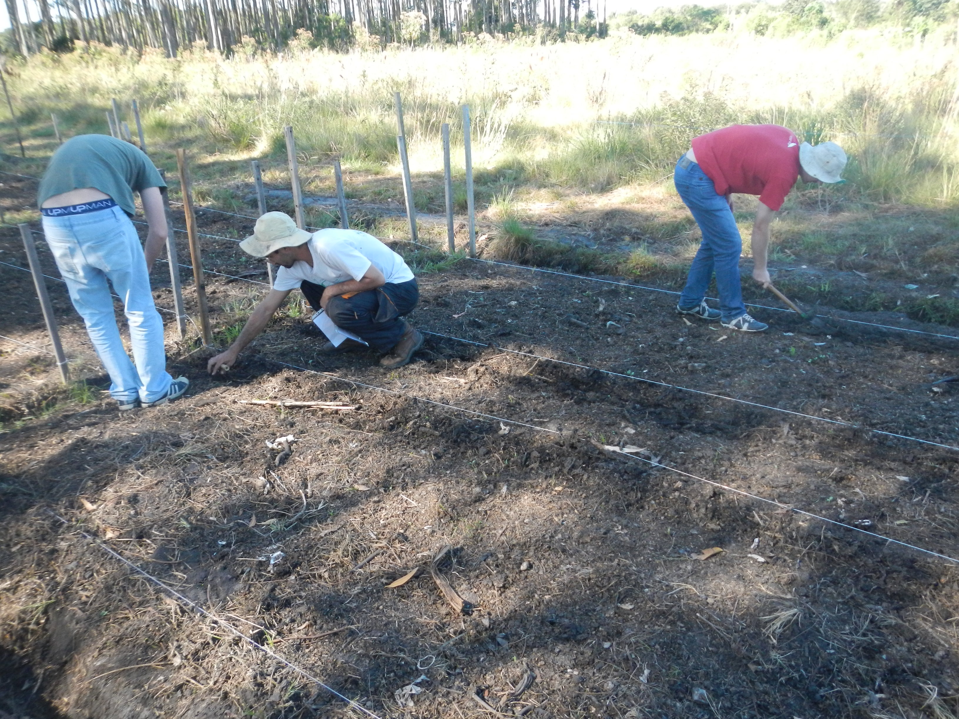 20130510 Fazenda Semeadura Capuchinha ADAE Agroecologia 001.jpg