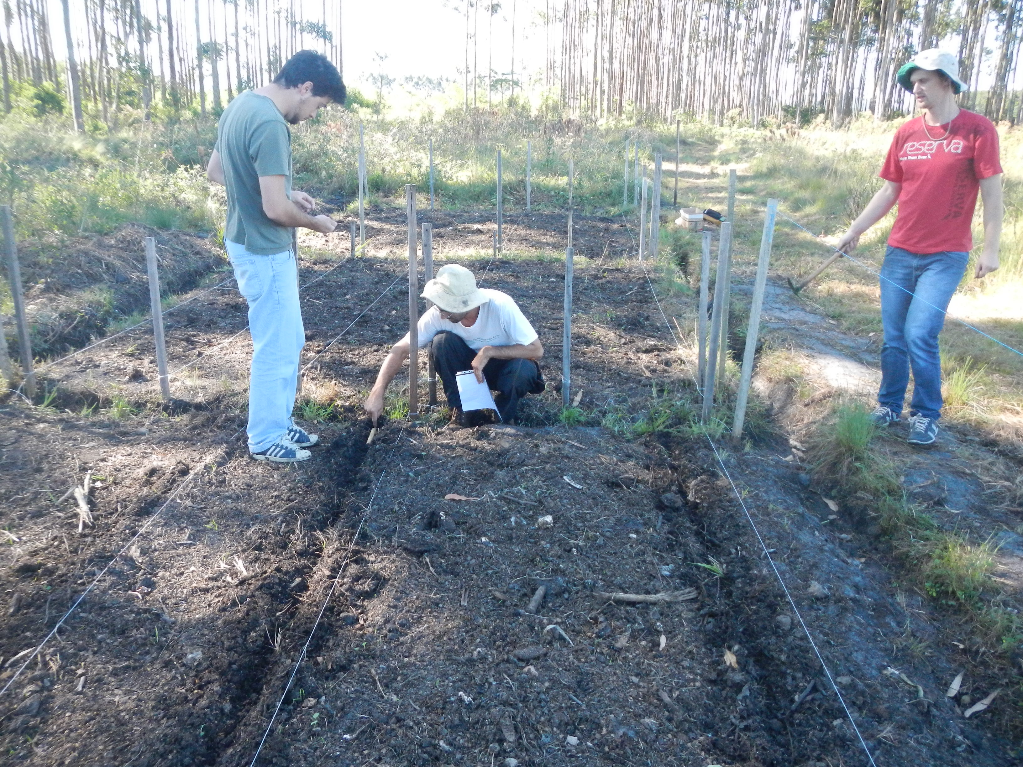 20130510 Fazenda Semeadura Capuchinha ADAE Agroecologia 002.jpg