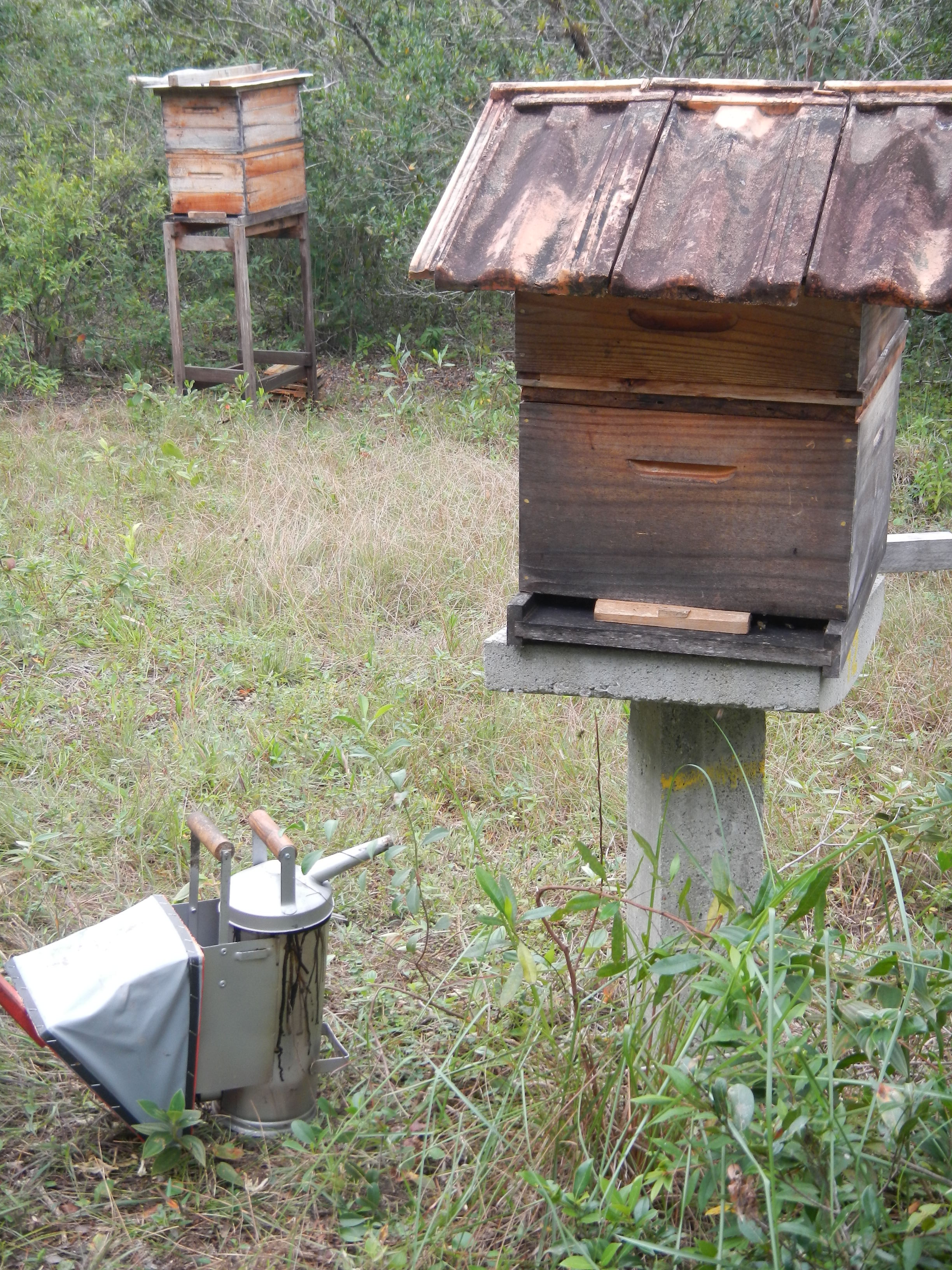 20130528 Fazenda Apicultura preparo para inverno.jpg