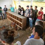 20130617 Fazenda Aula Introdução à Agronomia avicultura galinhas 002.jpg