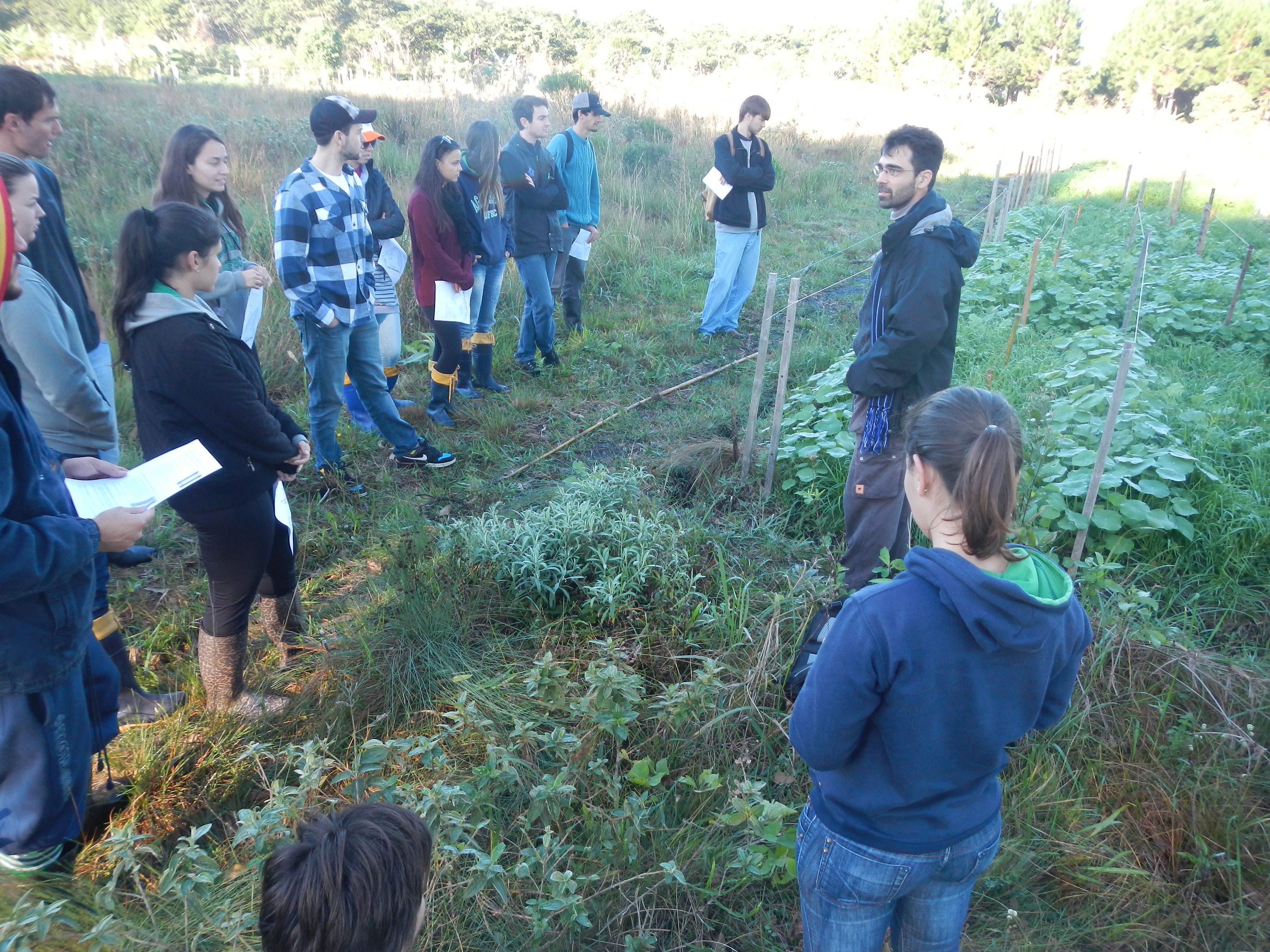 20130628 Fazenda Aula Agroecologia experimento anuais ADAE 001.jpg