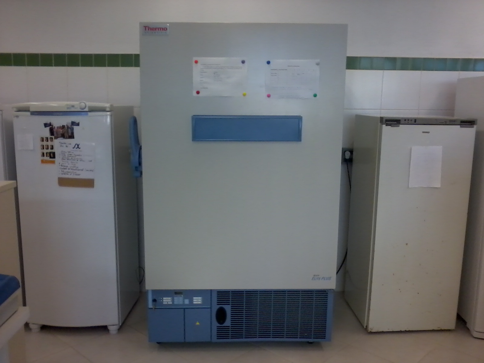 Freezer - 80C (Convenio n. 01.09.0374.00)
