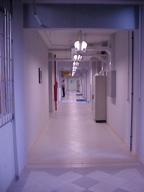 Vista interna prédio laboratórios CCB - 3.jpg