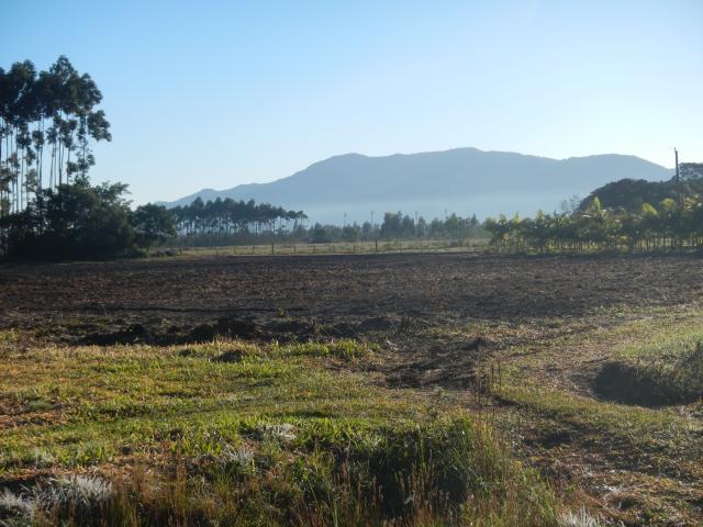 20130729 Fazenda área preparada pastagem ovinos Paisagem.jpg