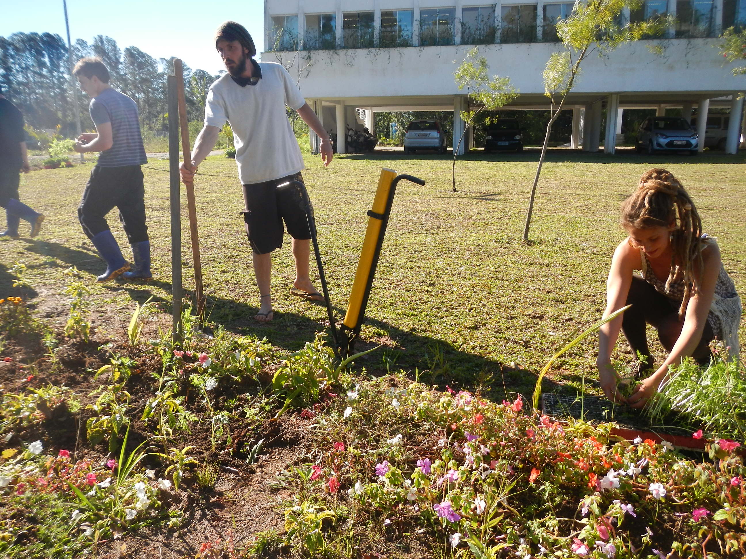 20130829 Fazenda Aula Plantas Ornamentais Floricultura plantio 010.jpg