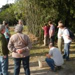 20130831 Fazenda Curso Cultivo e Manejo de Bambu BambuSC 005.jpg